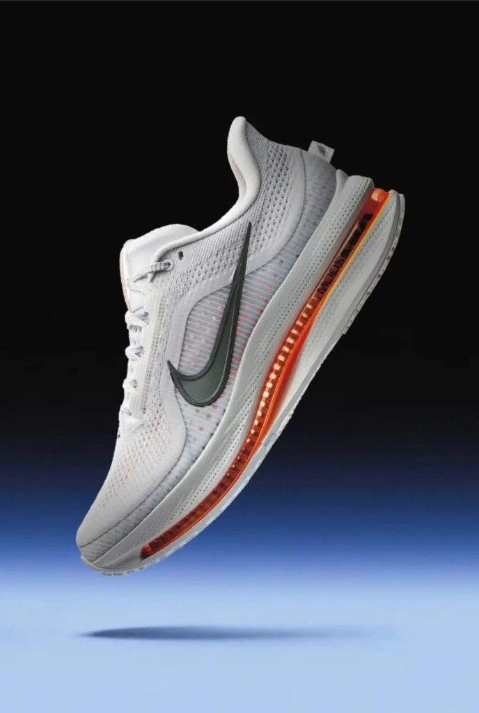 NIKE RUNNING PEGASUS PREMIUM matos