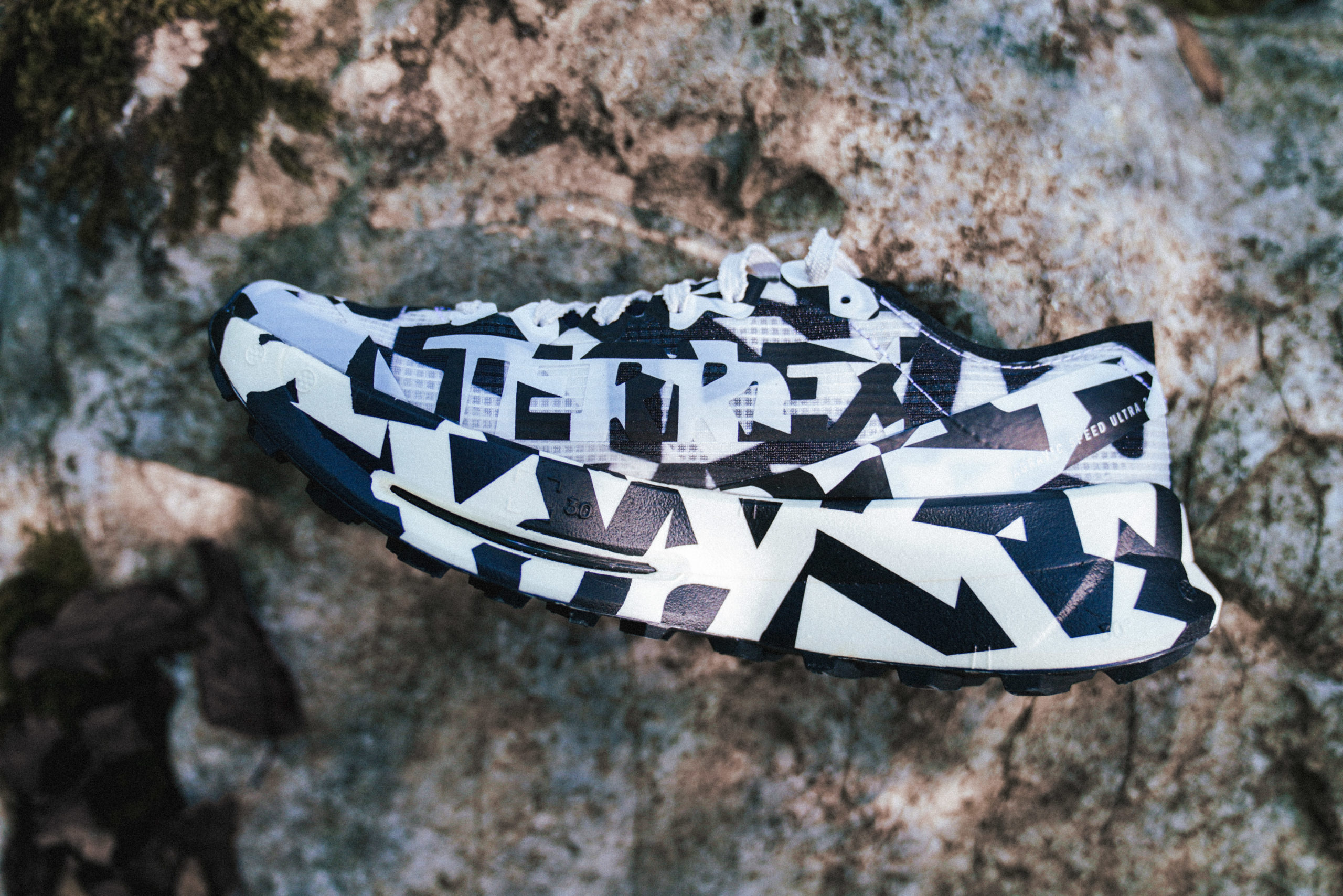 adidas Terrex Agravic Speed Ultra 2